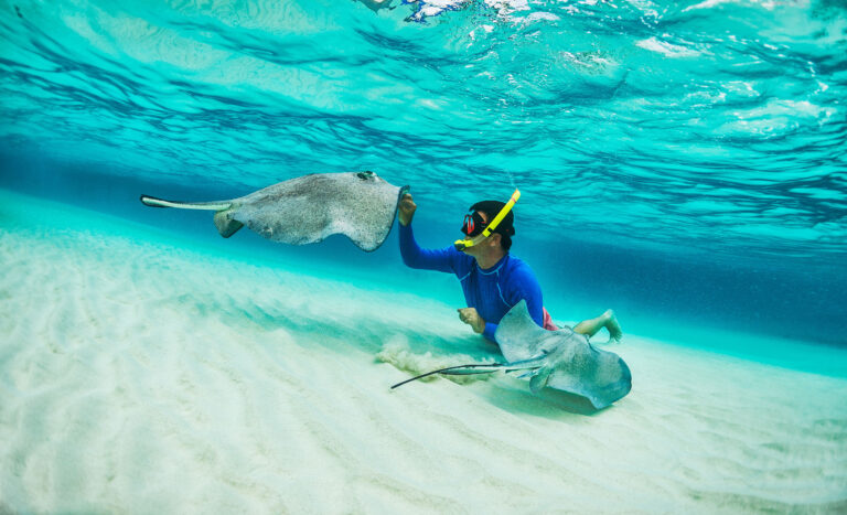 Mergulhador com snorkel alimenta duas arraias em fundo marinho arenoso.